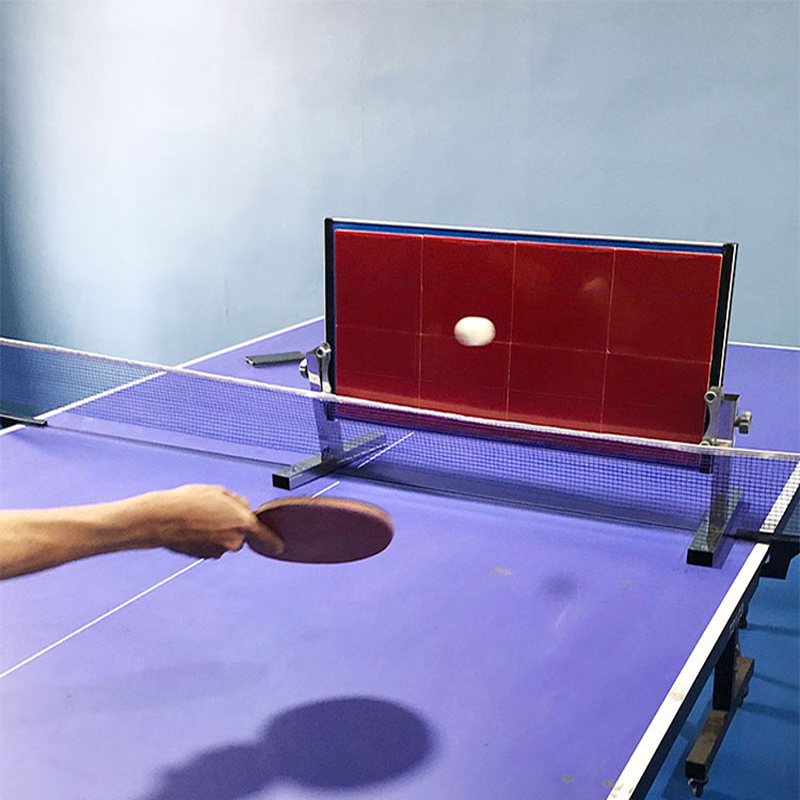 Table Tennis Touch - Home Table Tennis Rebound Board Ping