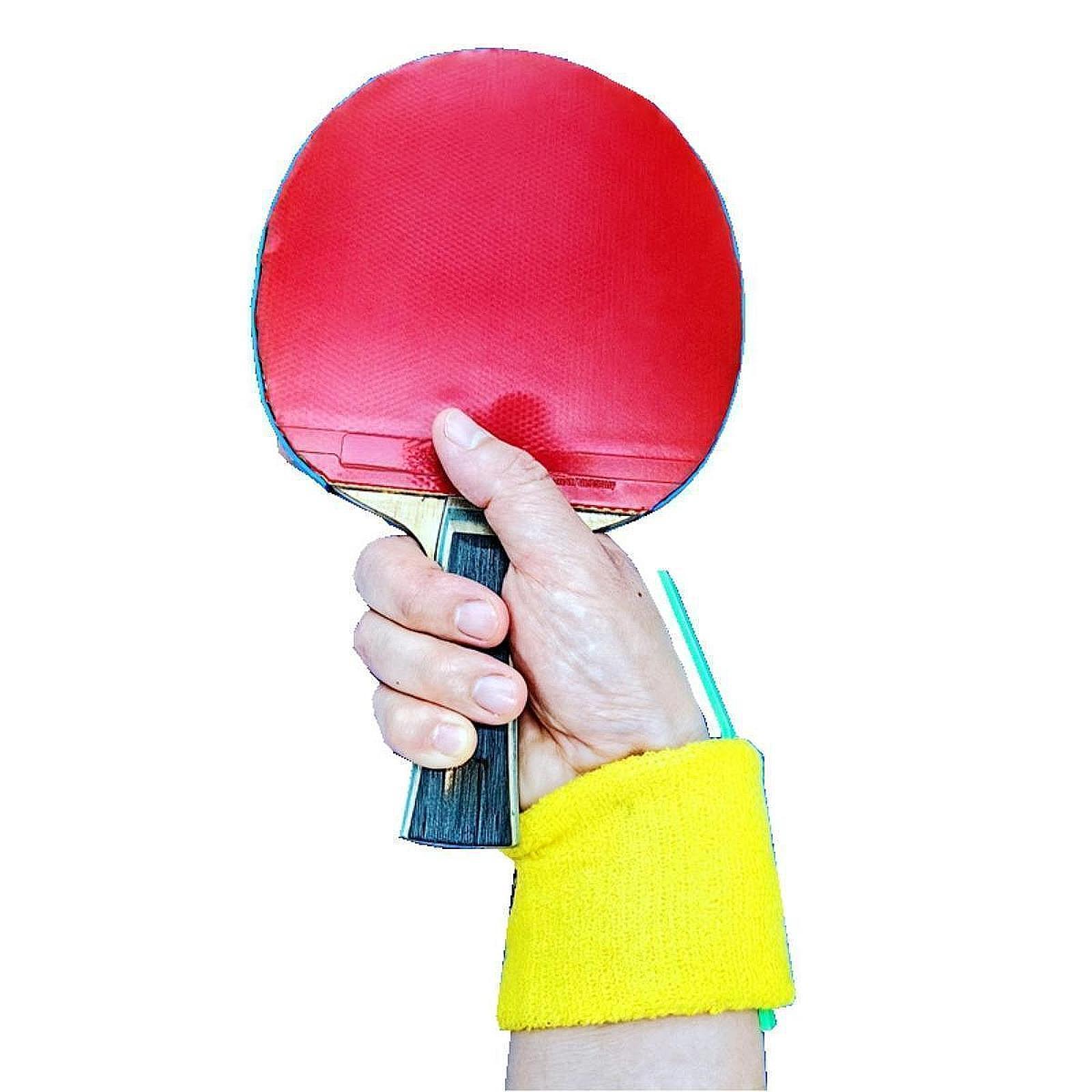 Table Tennis Training Wrist Po - đánh giá và giá Table Tennis Touch