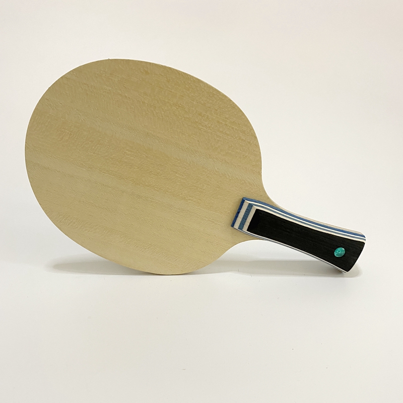 Lemuria VIS Carbon Fiber Table - đánh giá và giá Table Tennis Viscaria