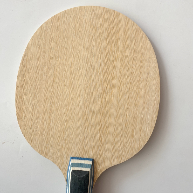 Lemuria VIS Carbon Fiber Table - đánh giá và giá Table Tennis Viscaria