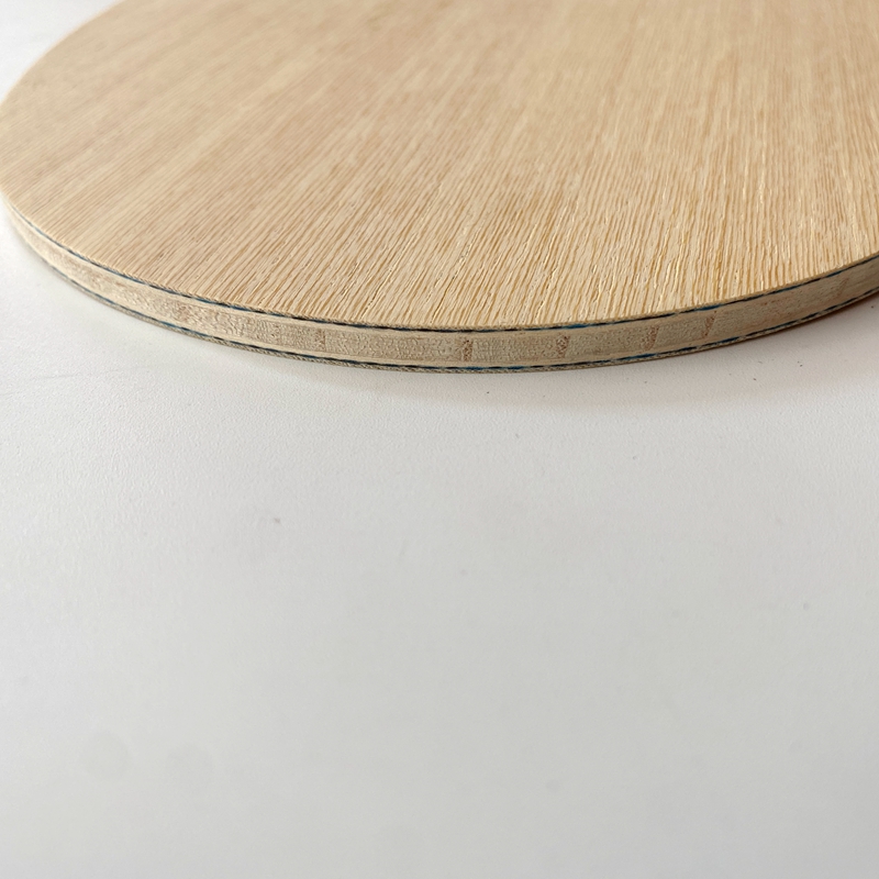 Lemuria VIS Carbon Fiber Table - đánh giá và giá Table Tennis Viscaria
